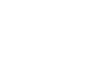 Atomizador Cartera 120 cc