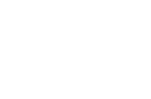 Atomizador Ergonómico 600 cc